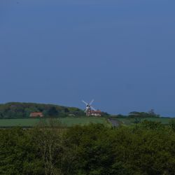 Photos