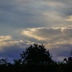 Photos