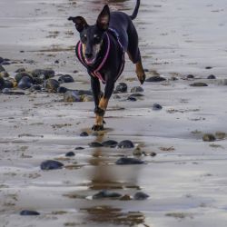 Photos